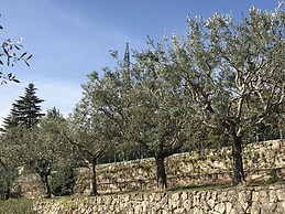 Valpolicella Hills