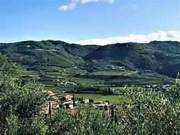 Valpolicella Hills