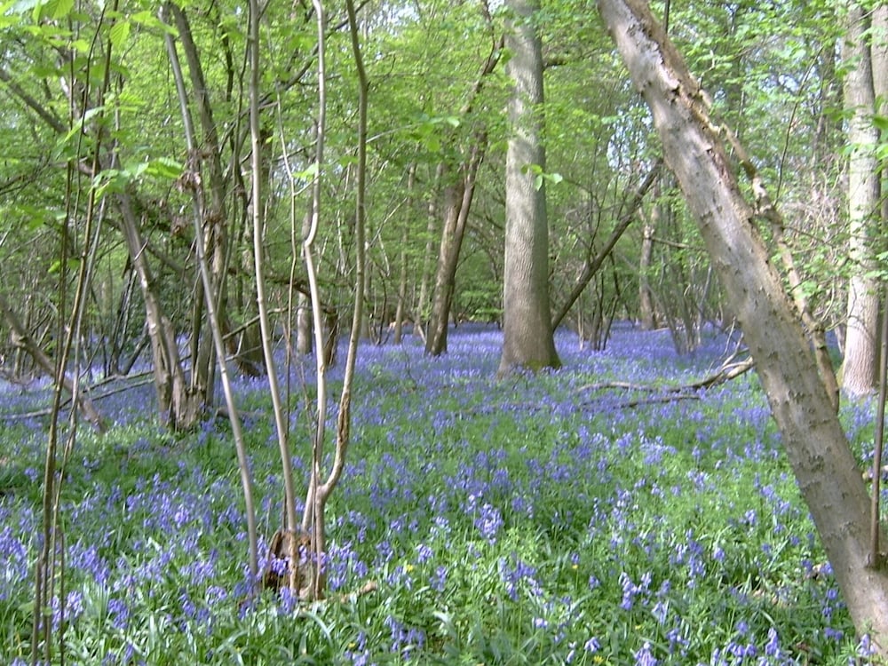 The Barn At Woodview