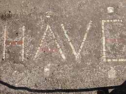 H.ave
