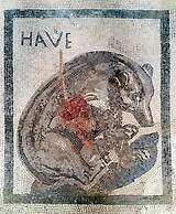 H.ave