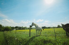 Les Yourtes à la Ferme des Epis