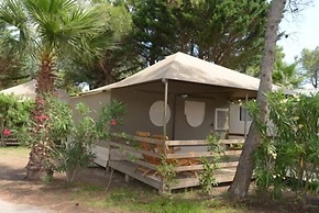 Camping l'Oasis et le California