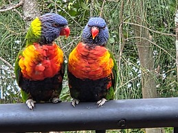 Noosa Holiday Accommodation
