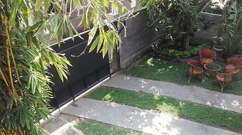 Mango Roots