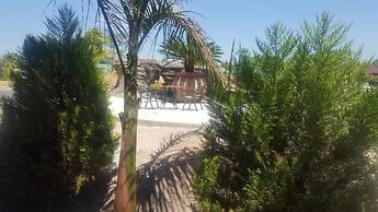 Samfred Garden
