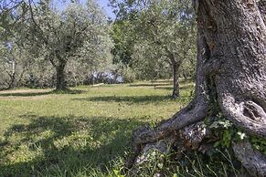 Agriturismo Filettro