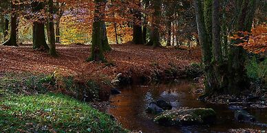 Le Relais des Lacs