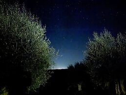 Podere Spedalone