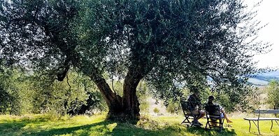 Podere Spedalone