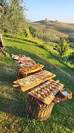 Podere Spedalone
