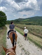 Podere Spedalone