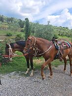 Podere Spedalone