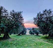 Podere Spedalone