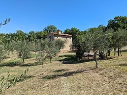 Podere Spedalone