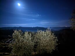 Podere Spedalone