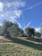Podere Spedalone