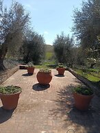 Podere Spedalone