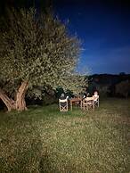 Podere Spedalone