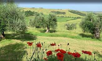 Podere Spedalone
