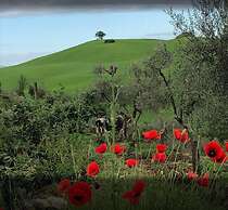 Podere Spedalone