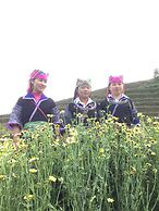 Do Gu Homestay