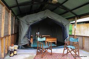 Kluges Guest Farm