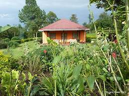Kluges Guest Farm