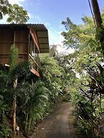 Cabañas del Lago
