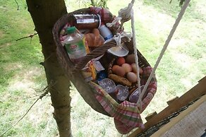 Cabane dans les Arbres - Tree House