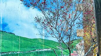 31 Homestay