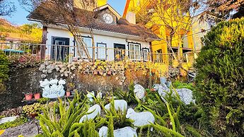31 Homestay