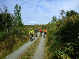 Landidyll Landaus Liesetal