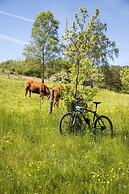 Landidyll Landaus Liesetal