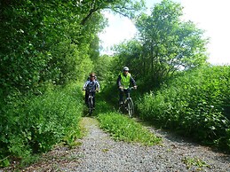 Landidyll Landaus Liesetal