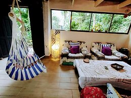 Casa Jungla Hostel
