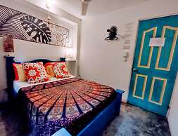 Casa Jungla Hostel