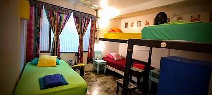 Casa Jungla Hostel