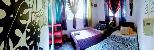 Casa Jungla Hostel
