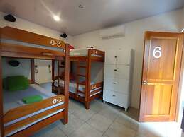 Casa Jungla Hostel