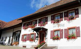 Hotel - Landgasthof zum Pflug