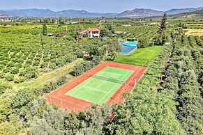 Orange Grove Villa