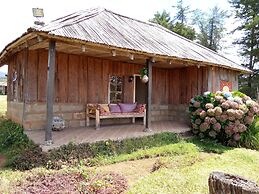 Castle Forest Lodge