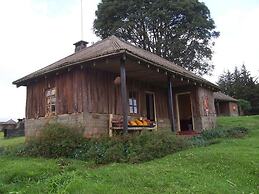 Castle Forest Lodge