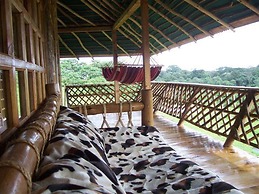 Castle Forest Lodge