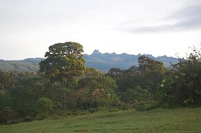 Castle Forest Lodge