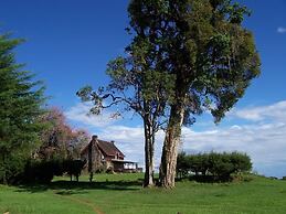 Castle Forest Lodge