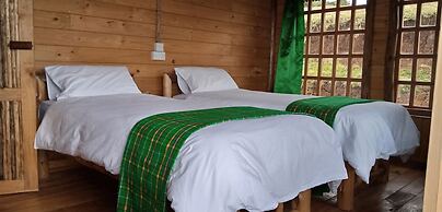 Castle Forest Lodge