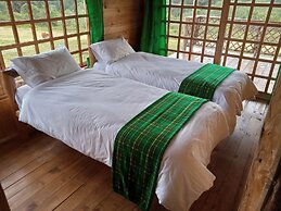 Castle Forest Lodge