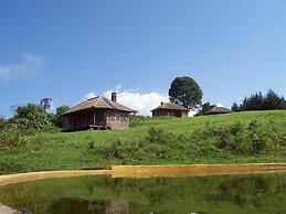 Castle Forest Lodge